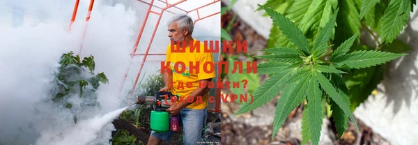 бошки Мегион