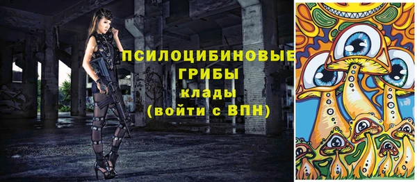 бошки Мегион