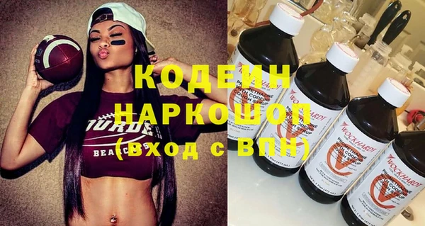 индика Новый Уренгой