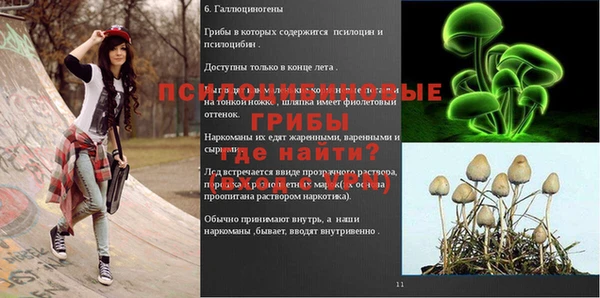 бошки Мегион