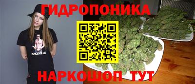 крисы Балахна