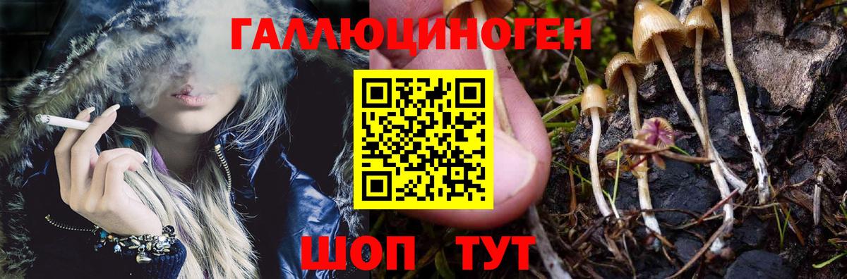 Псилоцибиновые грибы мицелий Беслан